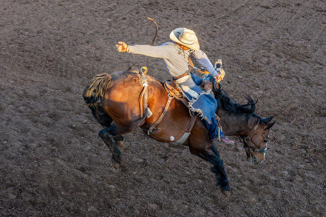 Rodeo-Cowboy Bailey Bench bei einem Rodeo in Utah im Sattelreiten.