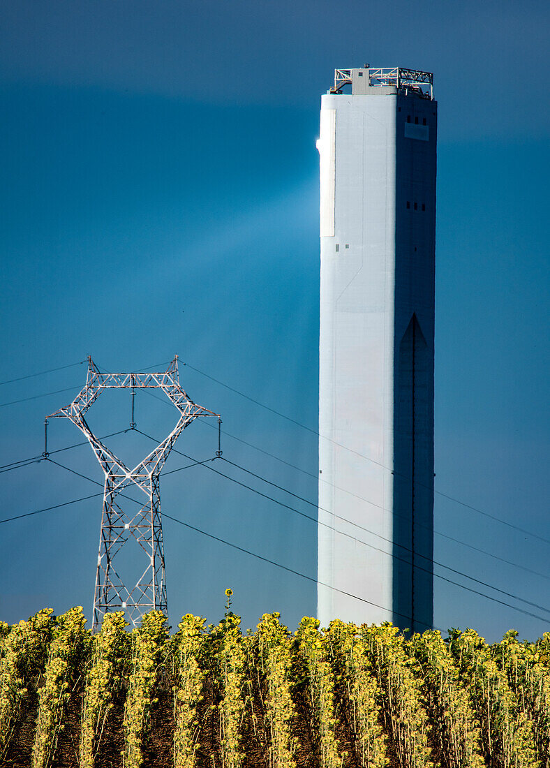 Turm eines Solarkraftwerks und Stromleitungen hinter einem leuchtenden Sonnenblumenfeld in Sanlúcar la Mayor, Sevilla, Andalusien, Spanien.