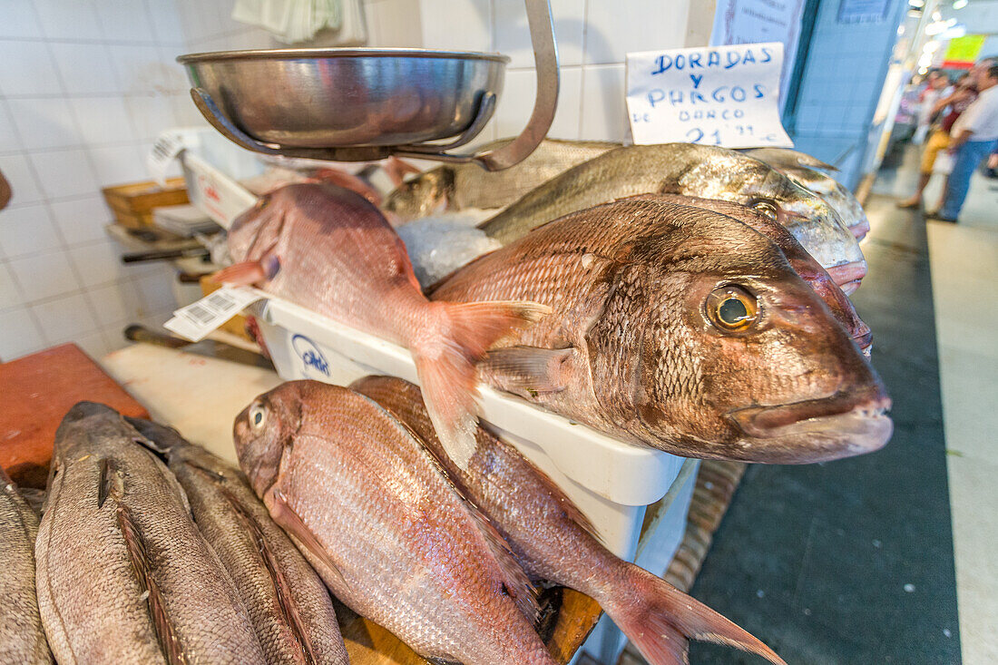 Close up of fresh doradas and pargos displayed at the bustling market in Sanlucar de Barrameda, province of Cadiz, Andalusia, Spain.