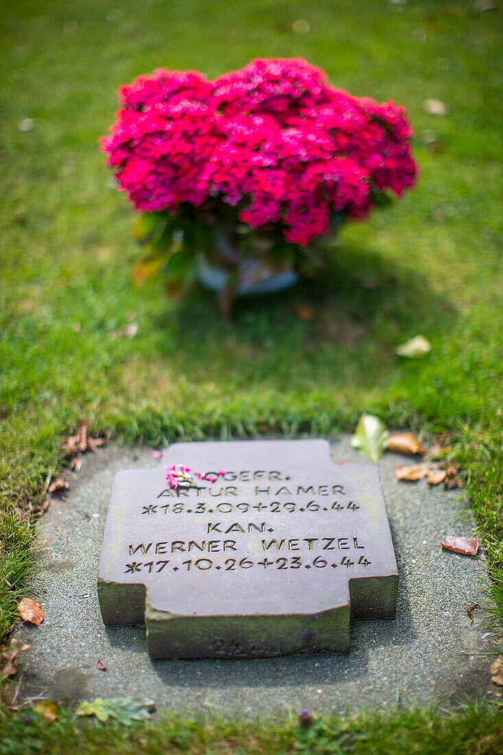 Grave of soldiers in a German military cemetery in Normandy, France, adorned with a bouquet of red flowers. A solemn reminder of history.