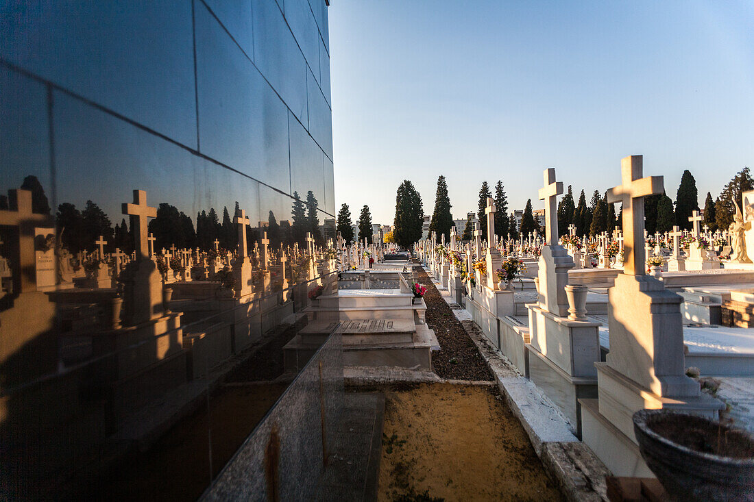 Sonnenuntergangsansicht des Cementerio de San Fernando in Sevilla, Andalusien. Reihen von Grabsteinen und Kreuzen schaffen eine heitere und besinnliche Atmosphäre.