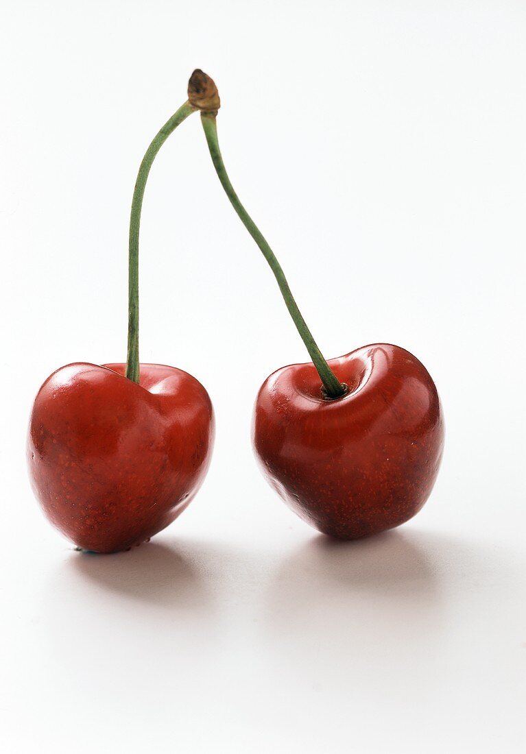 Two Red Cherries on a Stem