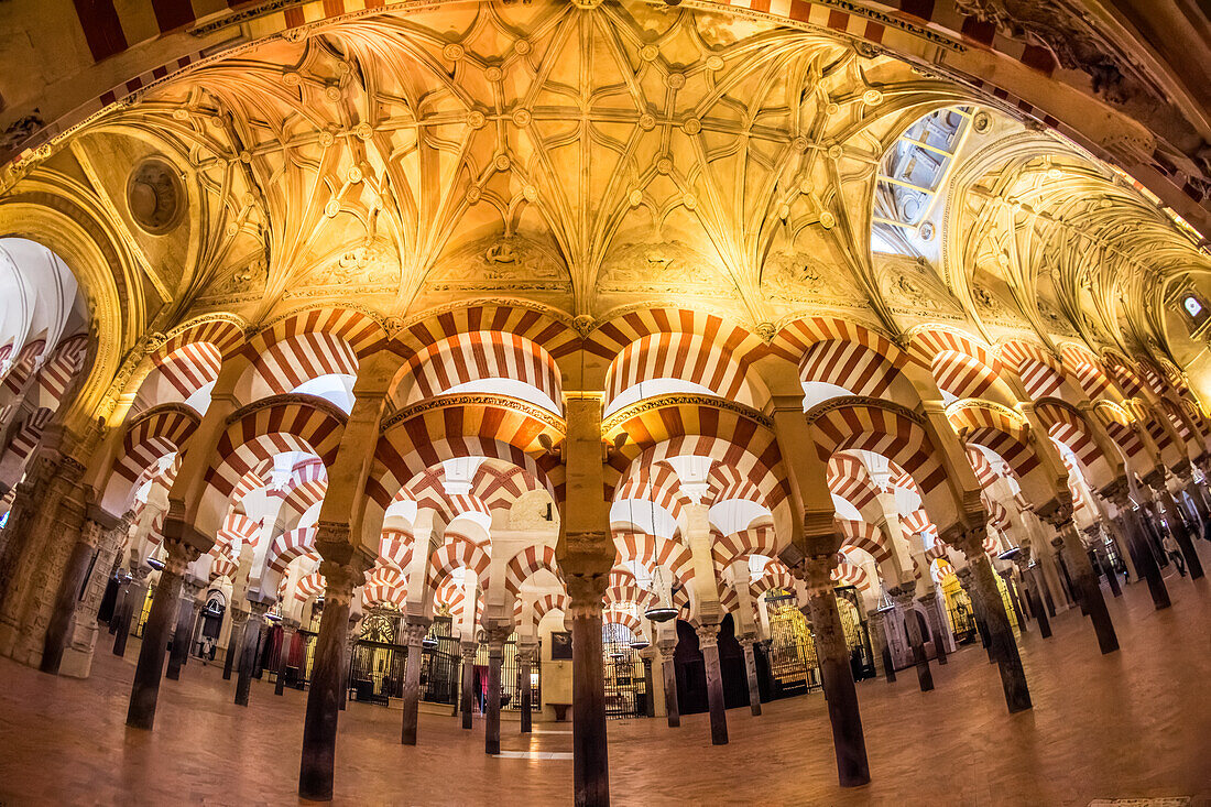 Einzigartige Fischaugenperspektive, die die komplizierte Decke und die Bögen der Moschee von Cordoba in Andalusien, Spanien, einfängt.