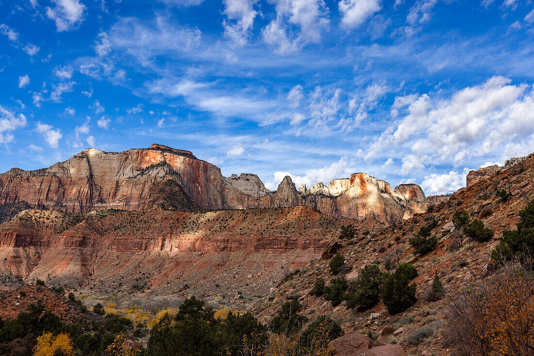 Puffy clouds over rock formations in Zion National Park