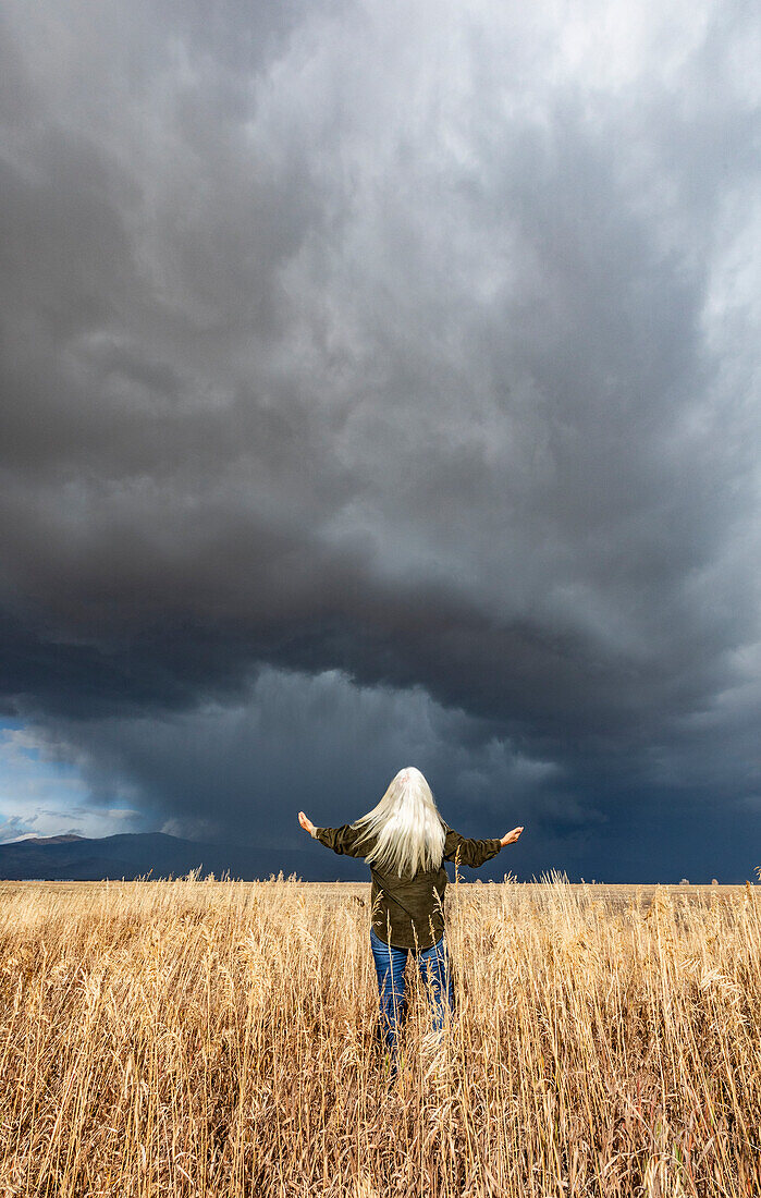 Rear view of woman standing in fall grasses under stormy sky