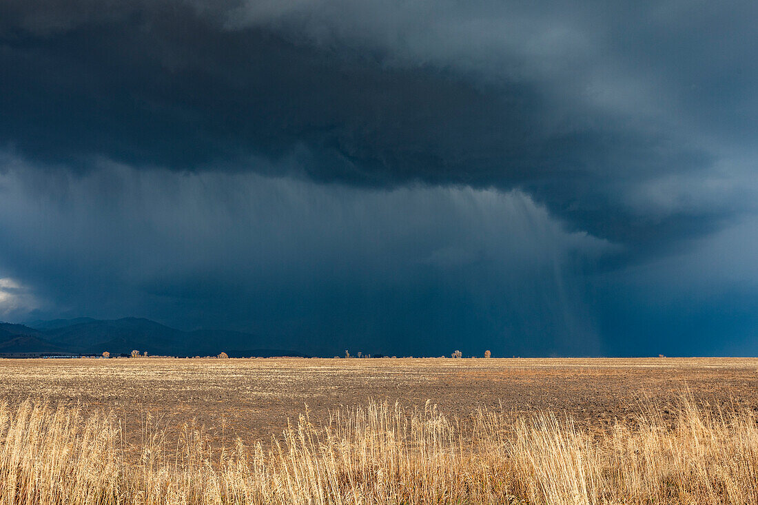 Dark storm clouds over field