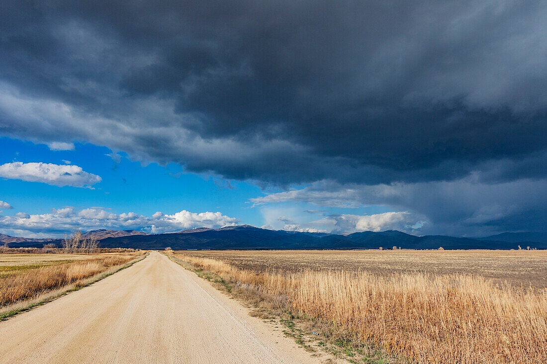 Dark storm clouds over dirt road crossing field