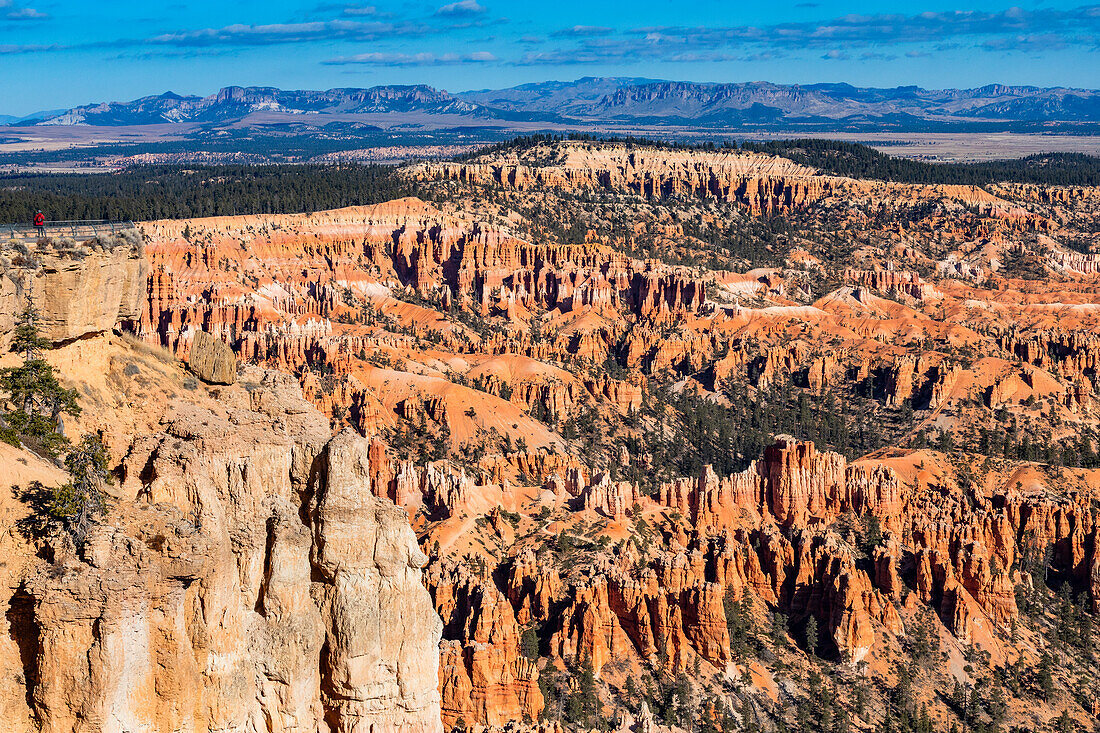 Sandstone rock formations in Bryce Canyon National Park