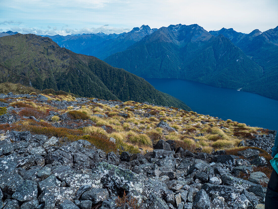 Fjord inmitten grüner Berge im Fiordland-Nationalpark