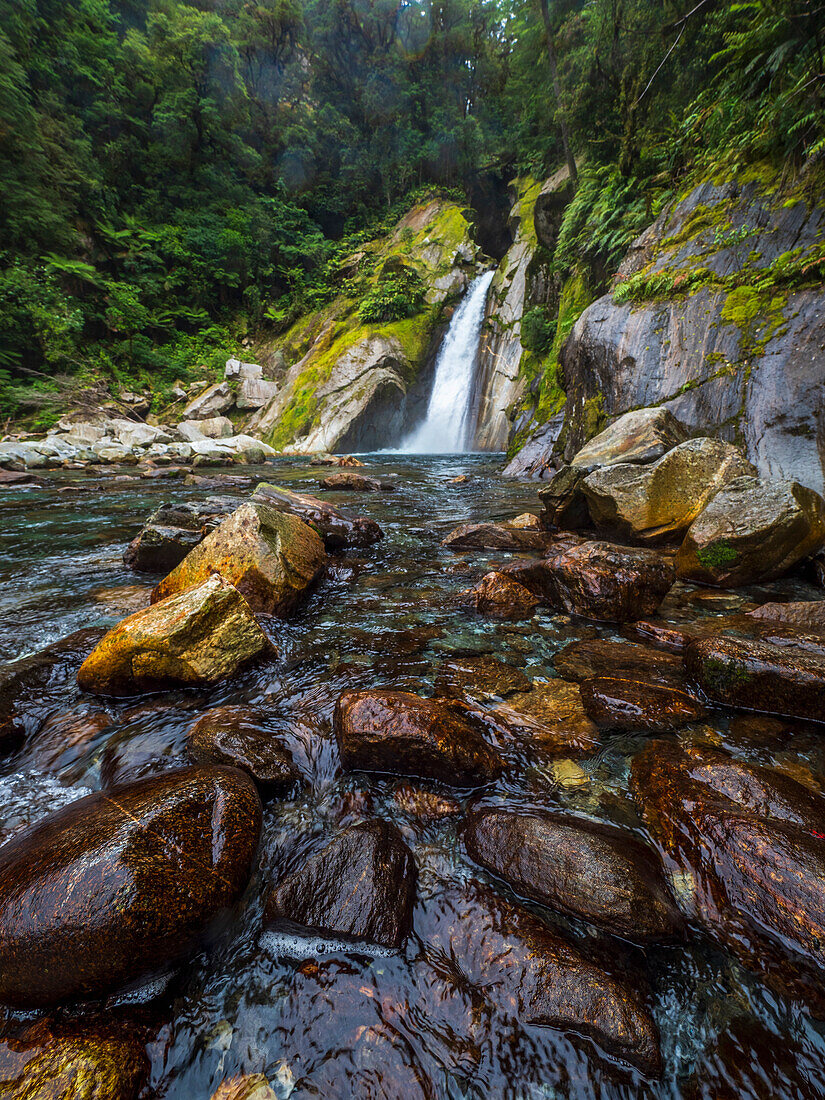 Wasserfall und Bach im Wald im Fiordland-Nationalpark