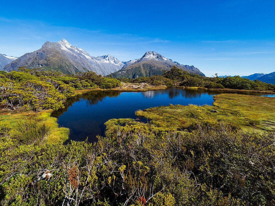 Kleiner See und Berge im Fiordland-Nationalpark