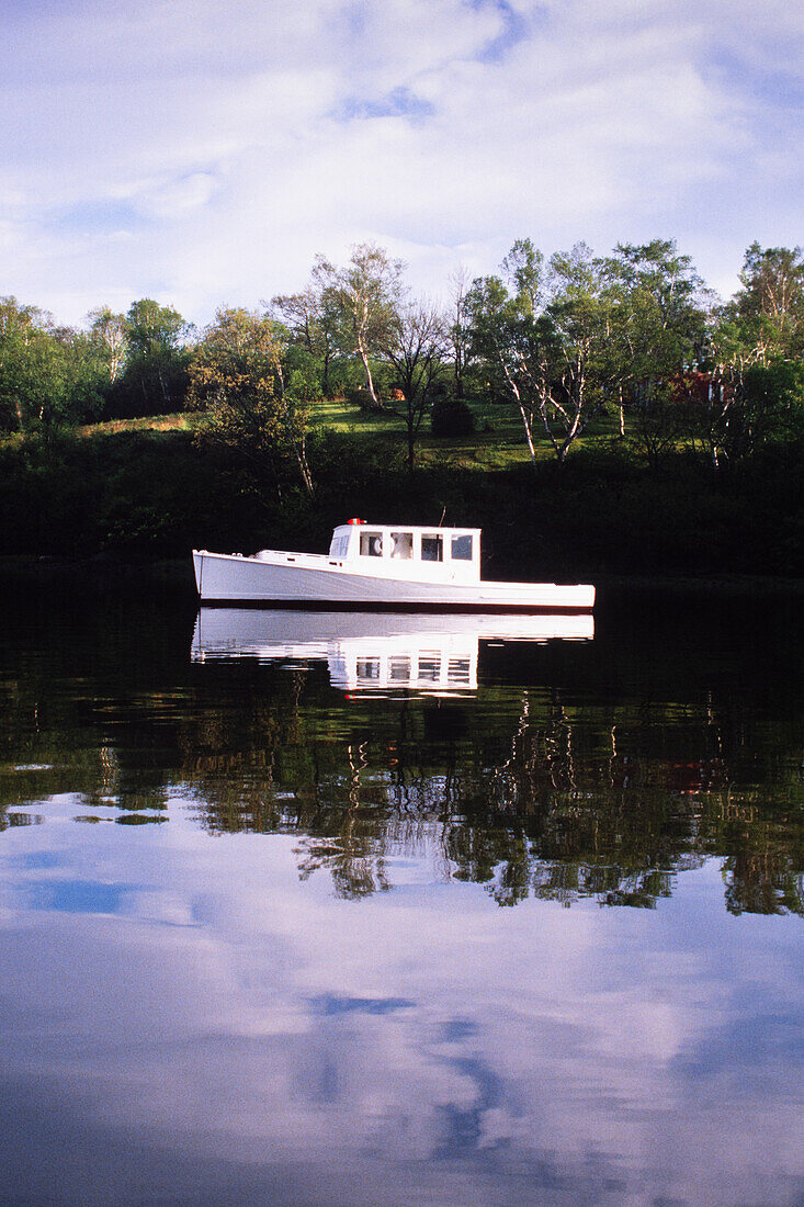 White lobster boat anchored in calm harbor