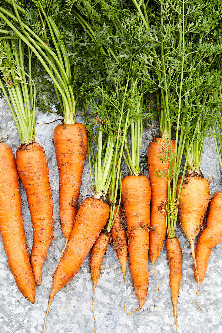 Overhead view of freshly harvested carrots