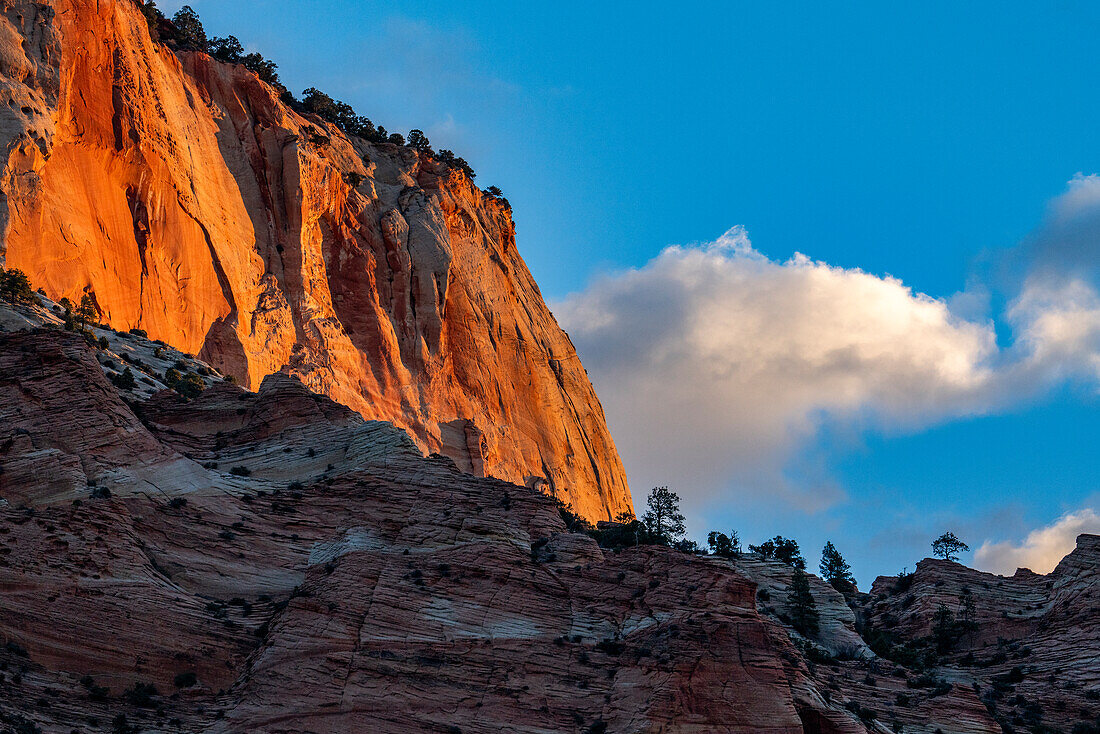 Red rocks in Bryce Canyon National Park in sunlight