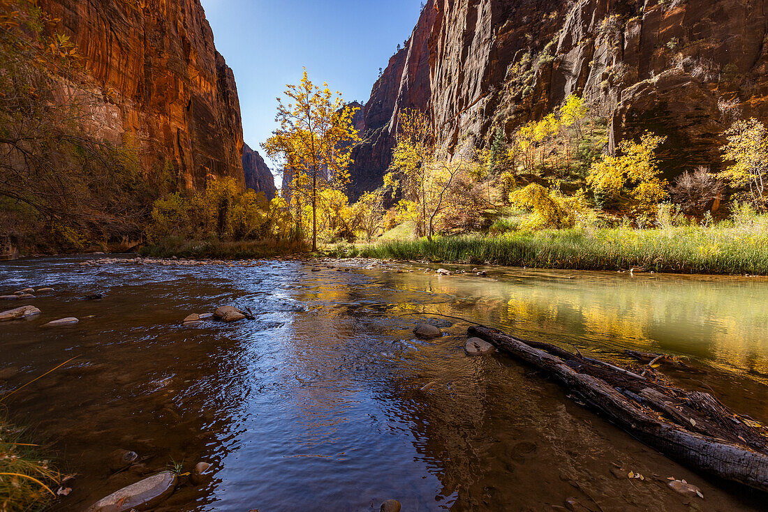 Calm Virgin River and rock formations in Zion National Park in autumn