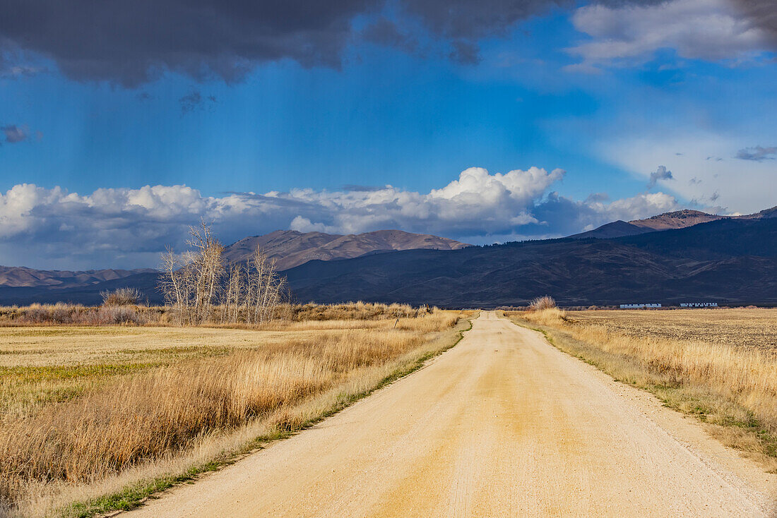 Empty dirt road leading to foothills under stormy skies