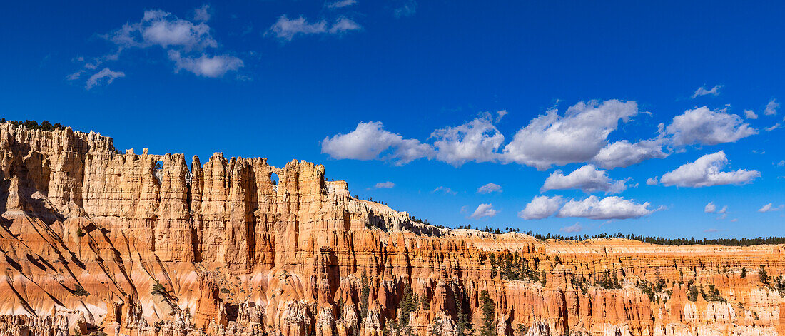 Hoodoo-Felsen im Bryce Canyon National Park an einem sonnigen Tag