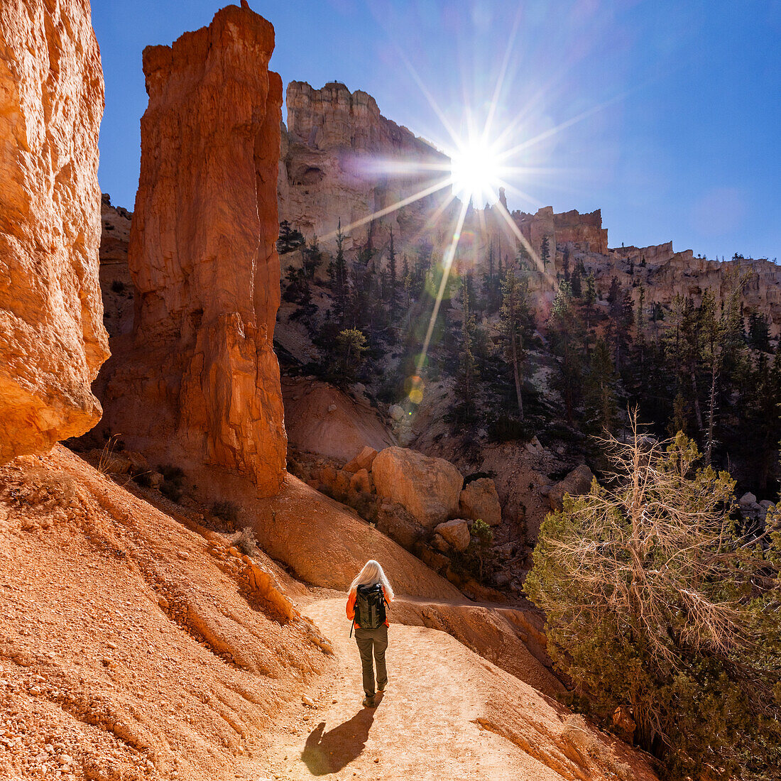 Rear view of woman hiking in Bryce Canyon National Park on sunny day