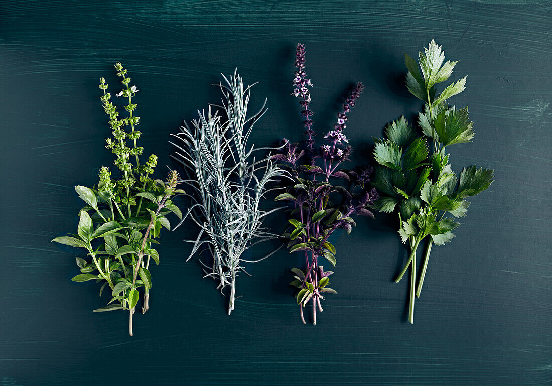 Fresh herbs: basil, rosemary, curry herb, celery