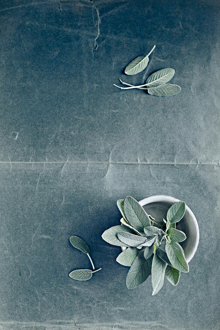 Sage leaves in a bowl on blue paper