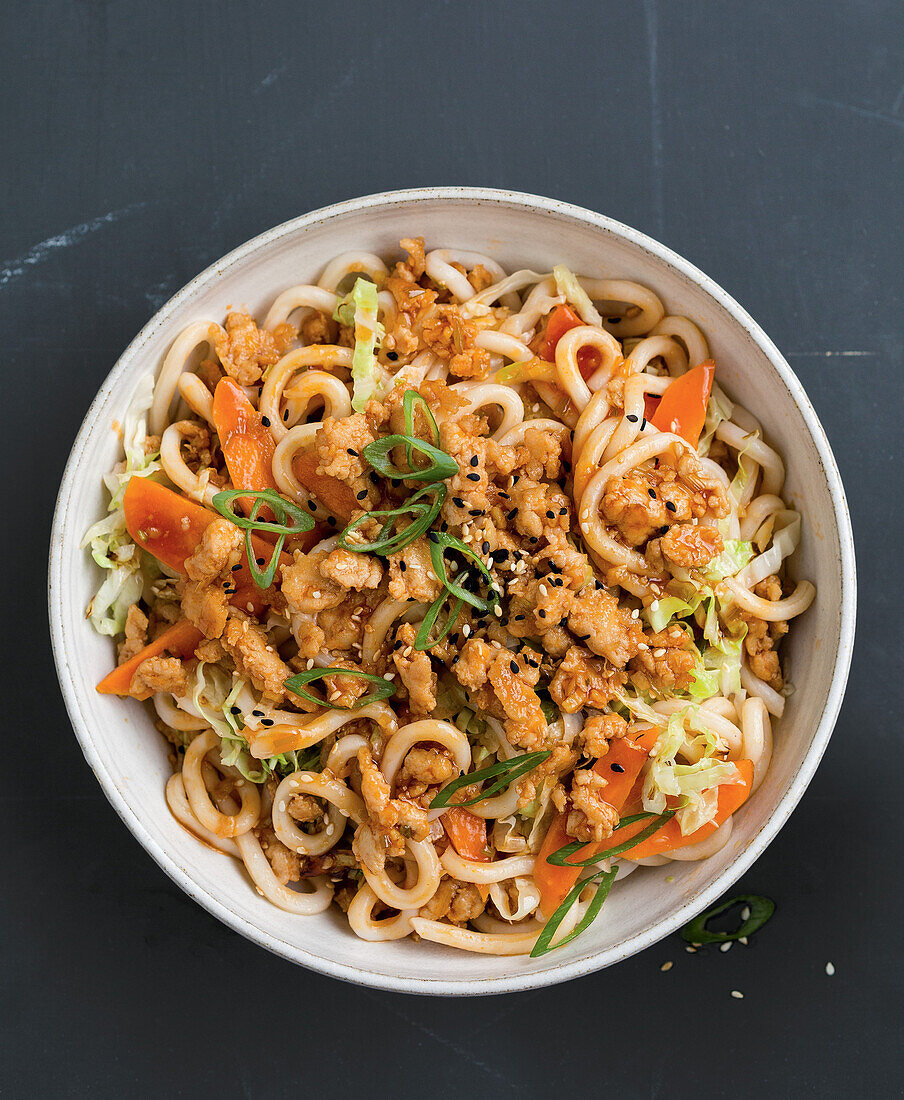 Japanese chicken noodle pan