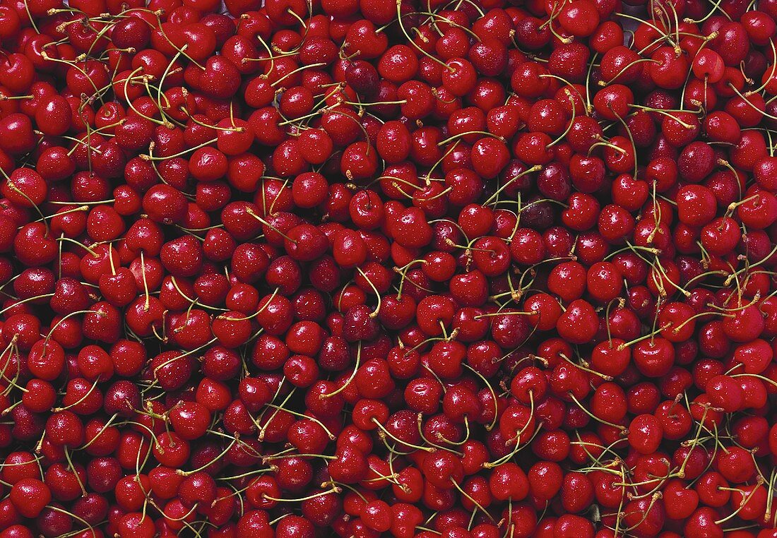 Red Cherries (Full Frame)