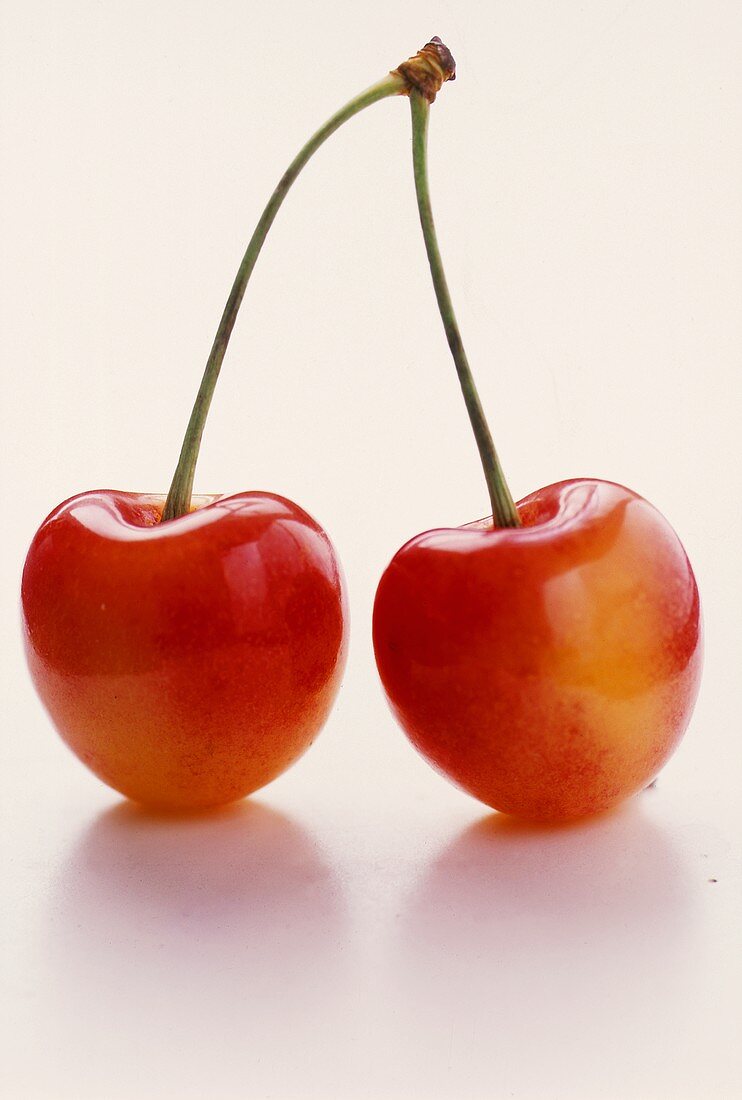 Two Red Cherries on a Stem