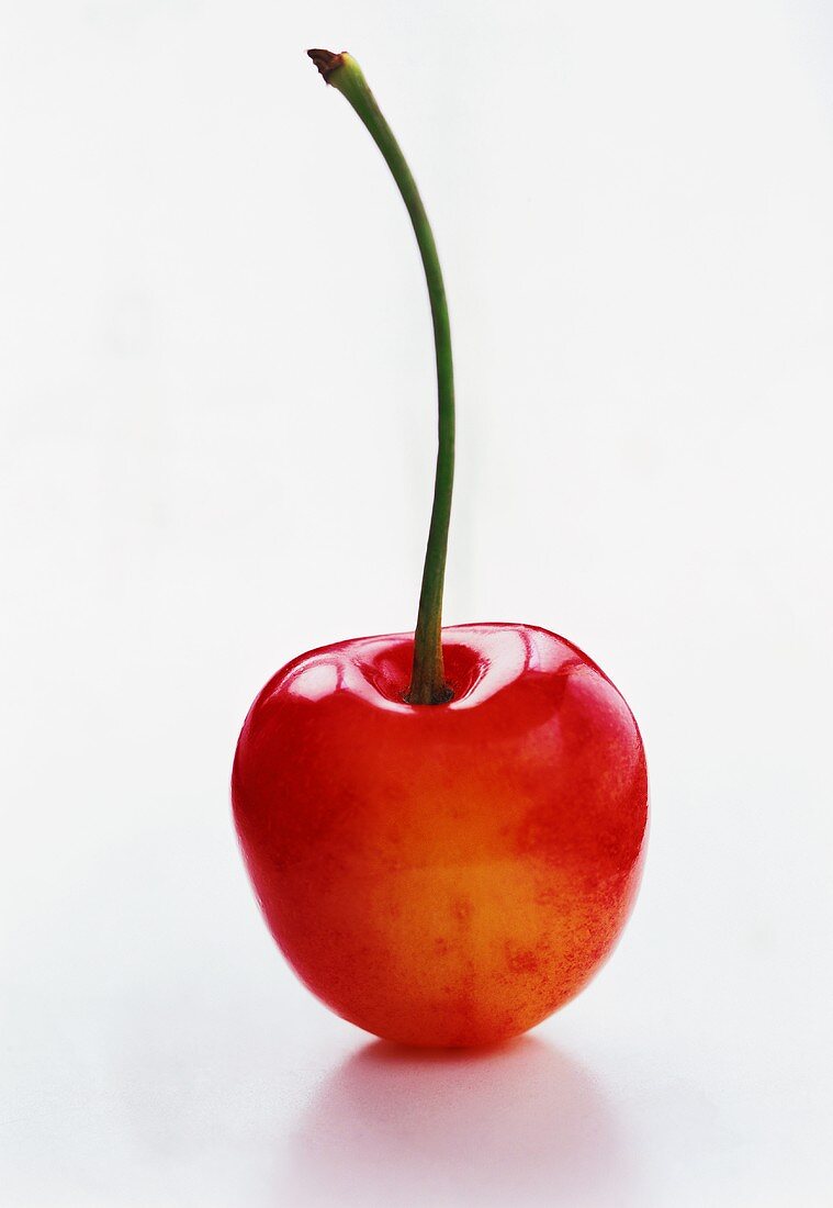 A Single White Cherry