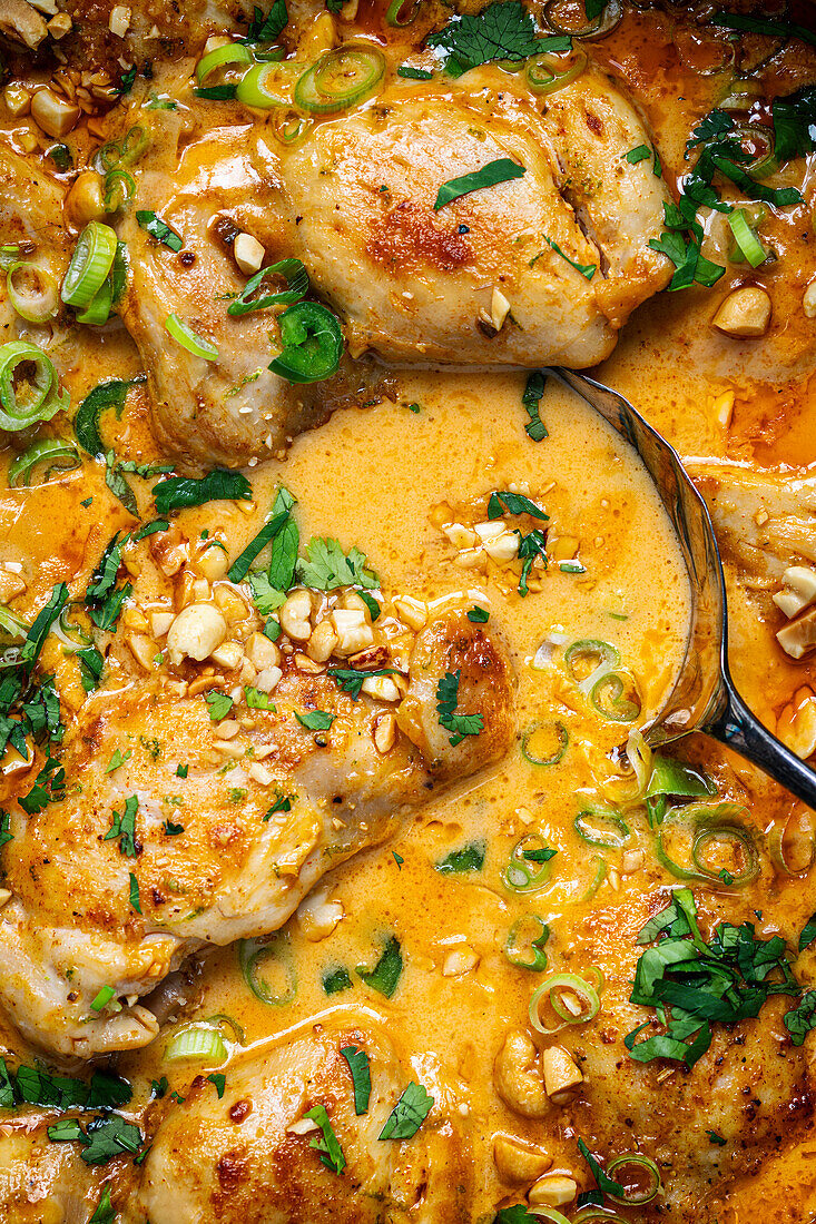 Coconut-lime chicken with spring onions and coriander