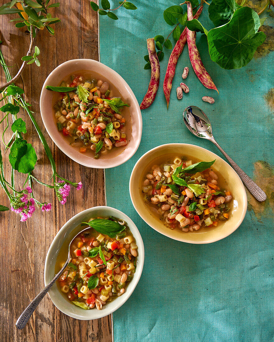 Minestrone mit buntem Gemüse