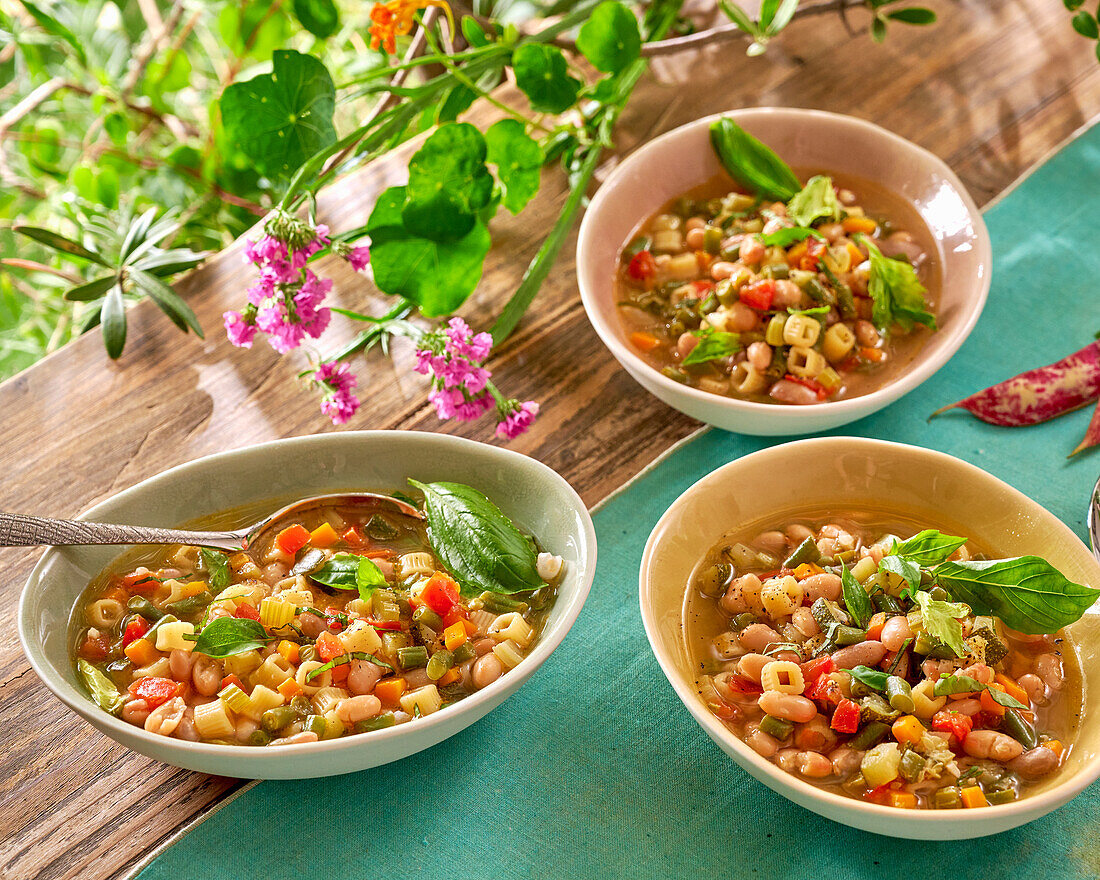 Minestrone with colourful vegetables