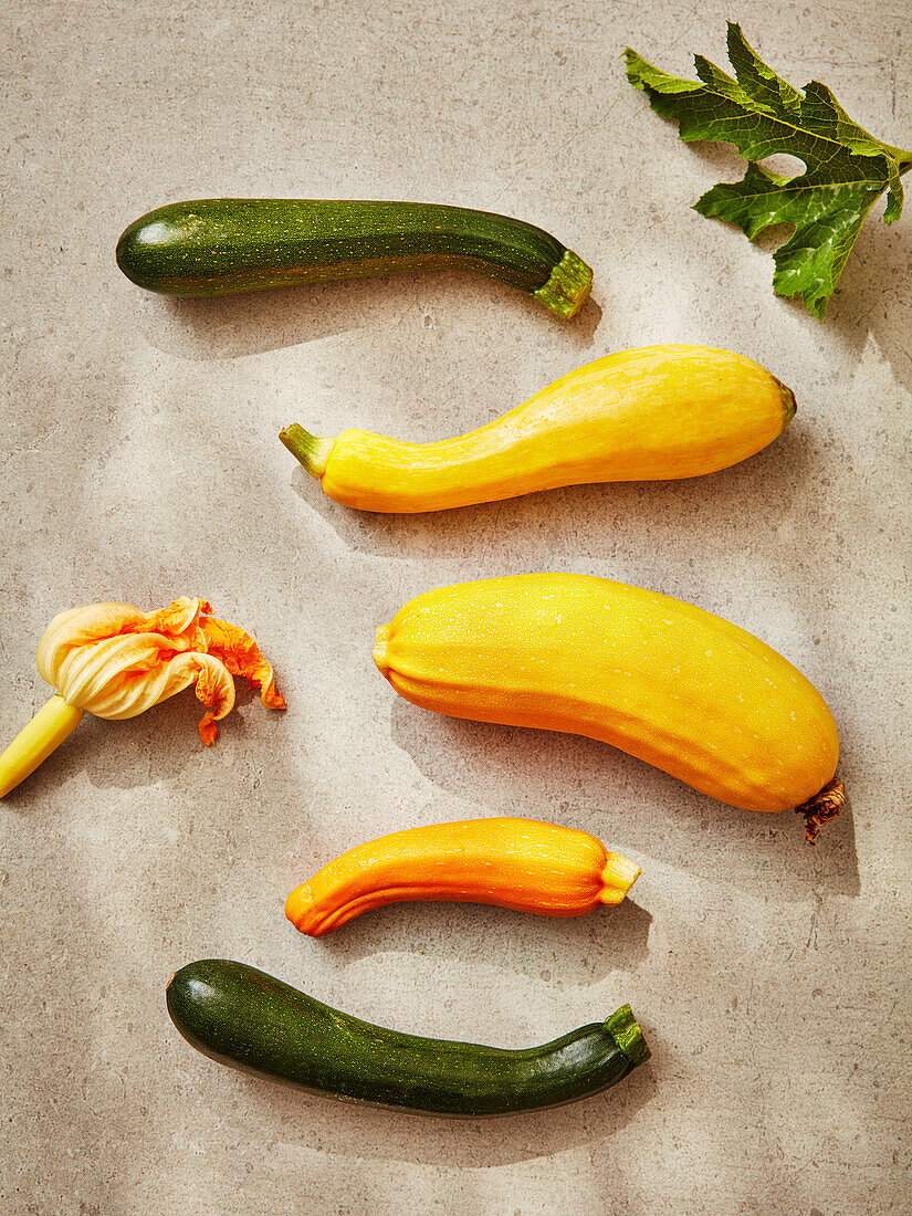 Verschiedene Zucchinisorten und Zucchiniblüte