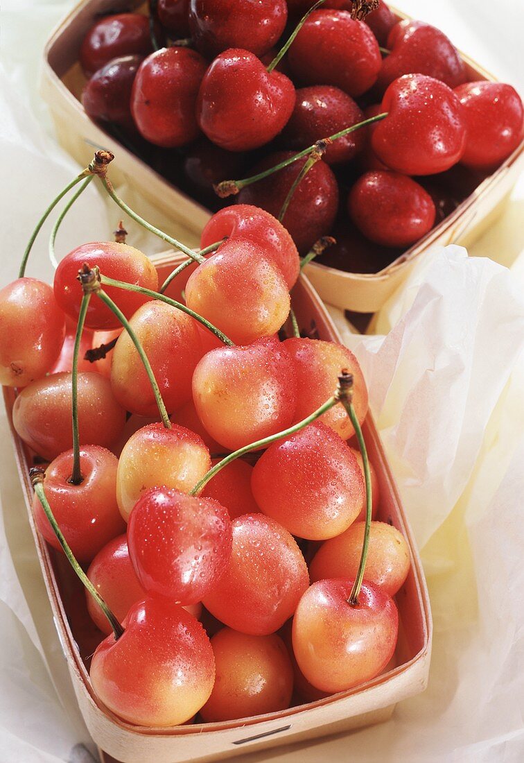 Red cherries and a white cherries in punnets