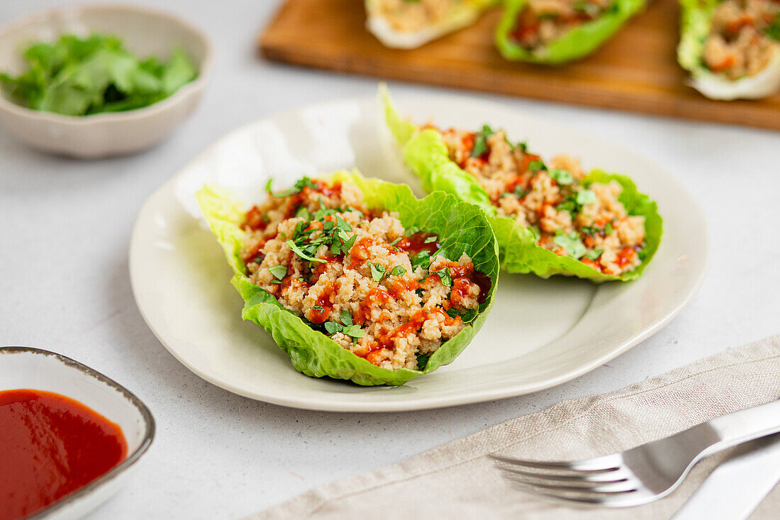 Salad wraps with vegan mince substitute and tomato dip