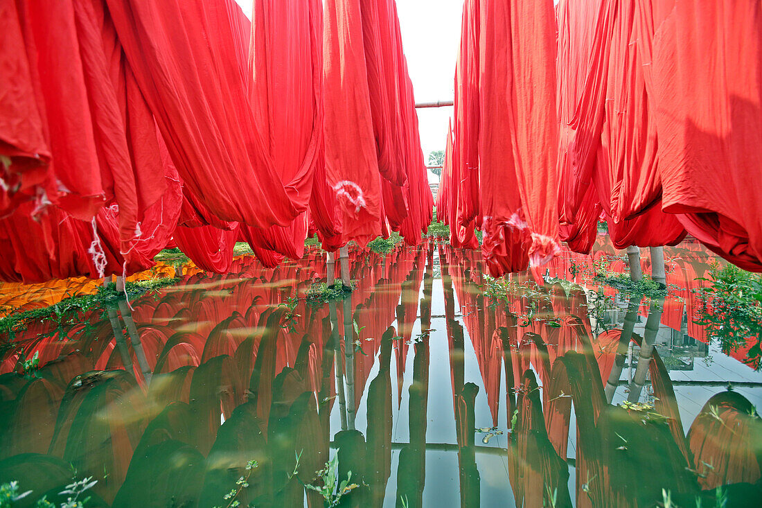 Fabric drying at dyeing factory, Bangladesh