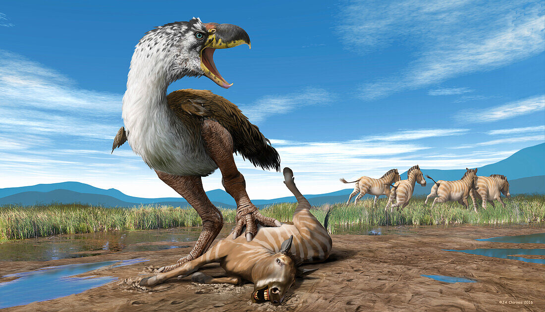 Terror bird with prey, illustration