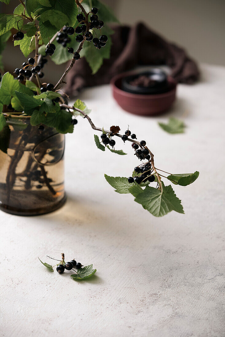 Stillleben mit schwarzen Johannisbeeren und Blättern