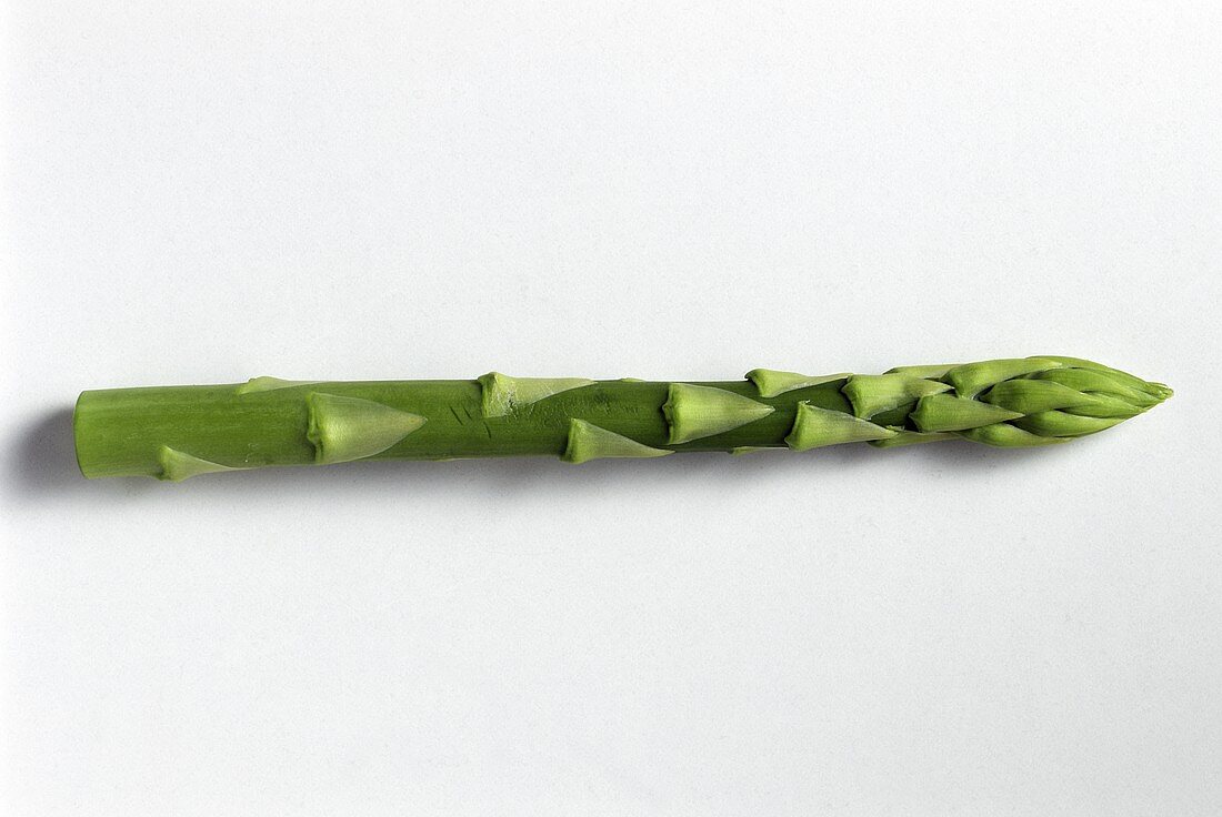 One Stalk of Green Asparagus