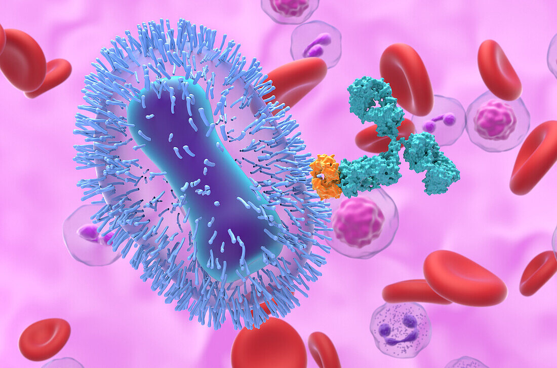 Mpox virus, illustration