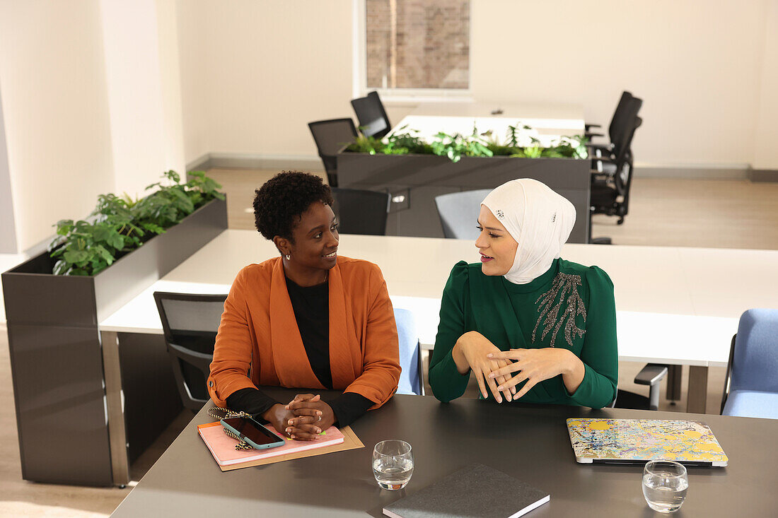 Businesswomen having meeting in modern office