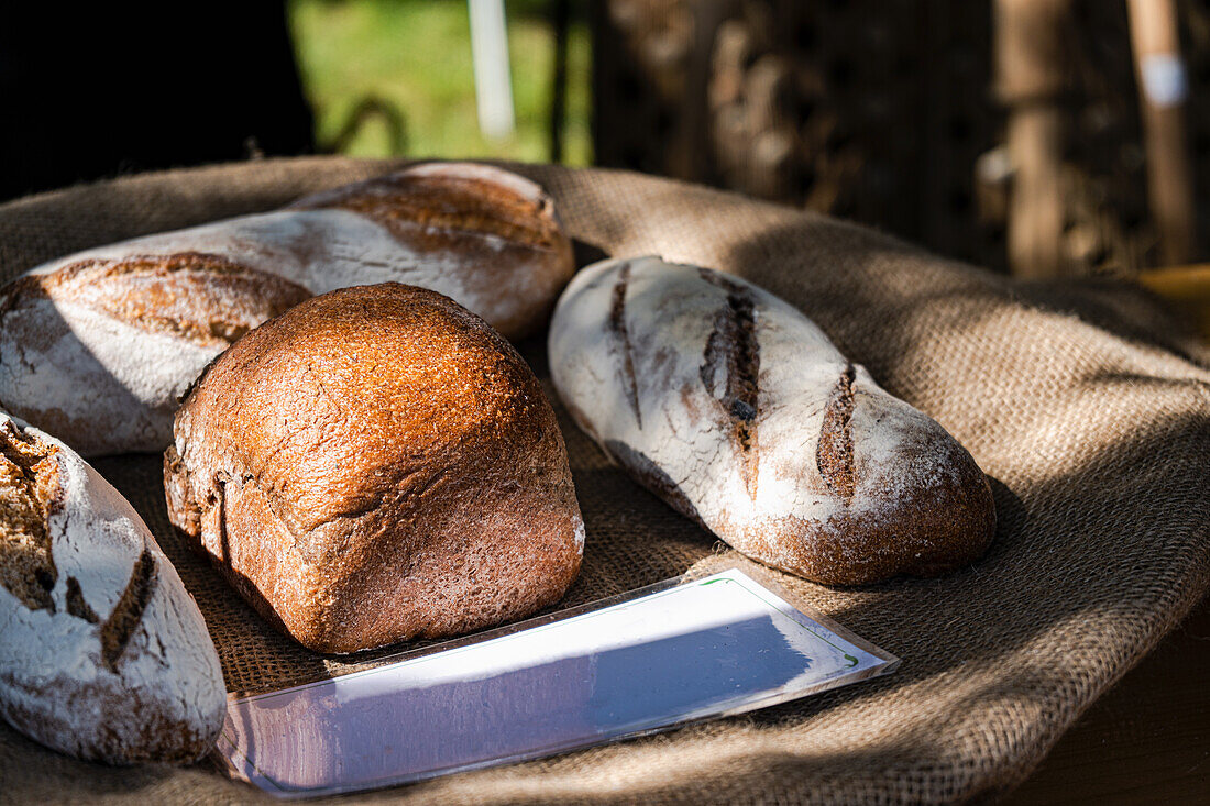 Selection of fresh sourdough breads