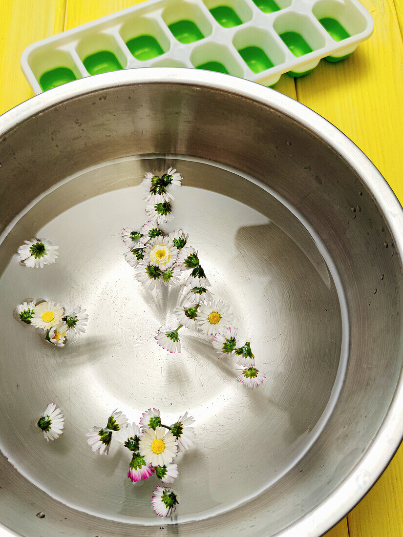 Gänseblümchen schwimmen in Wasserschale