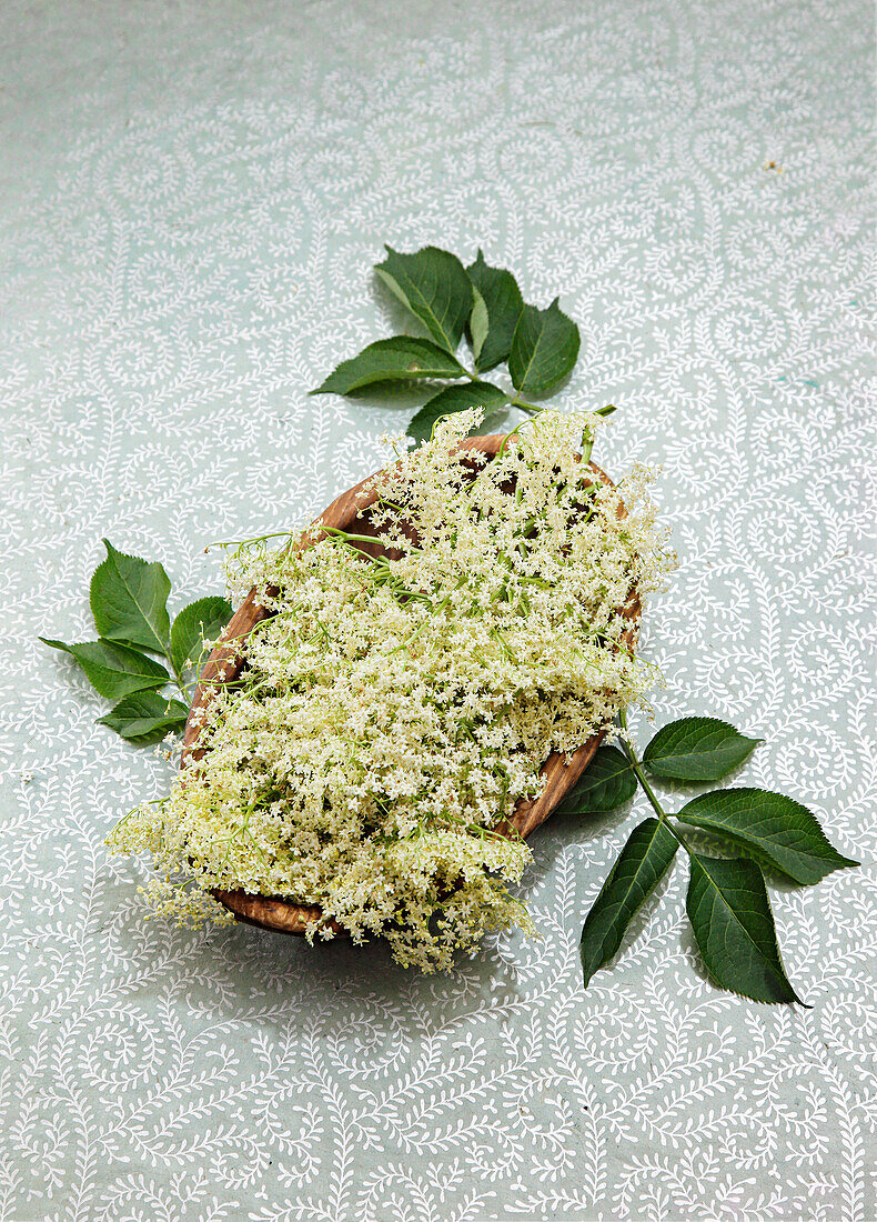 Freshly picked elderflowers in a wooden bowl