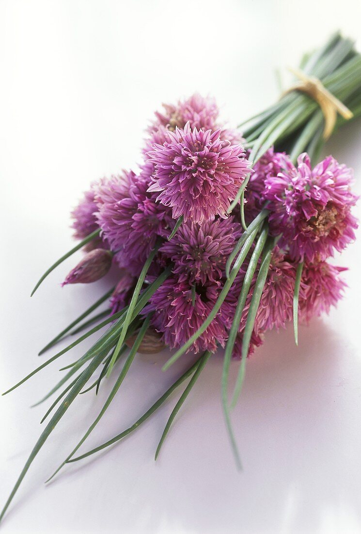 A bunch of chives with flowers