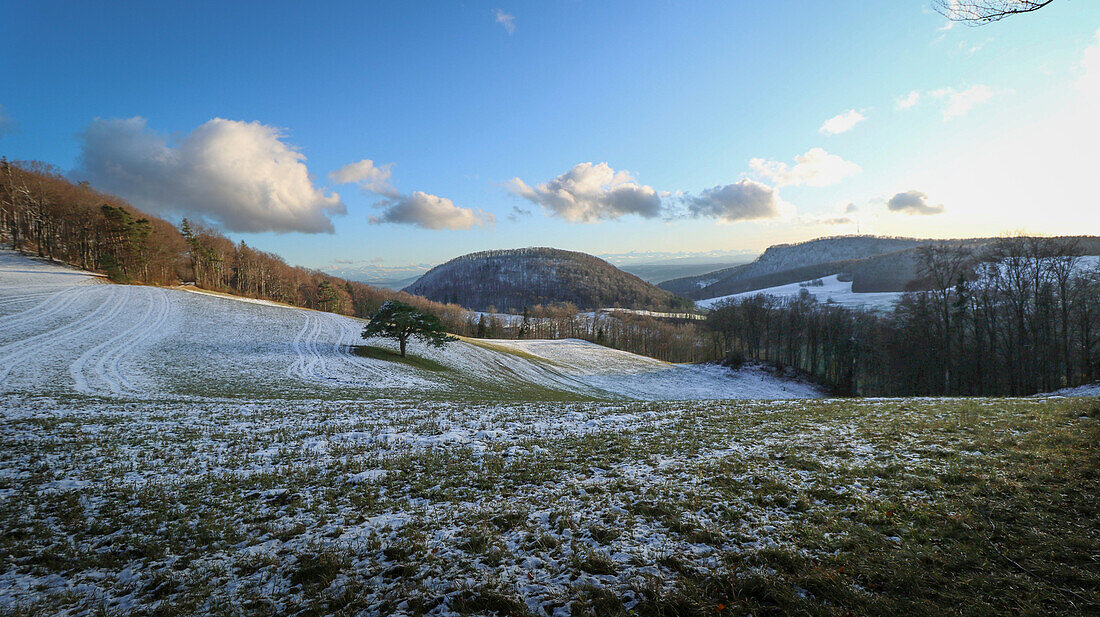 Verschneite Jura-Hügellandschaft im Aargau, Schweiz