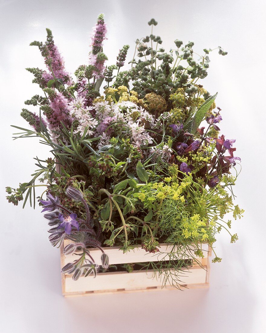 Flowering Herbs; Crate