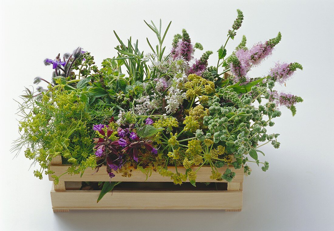 Fresh Herbs in a Crate