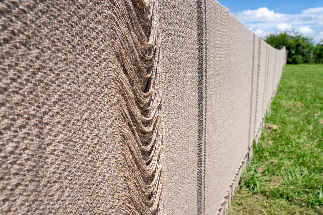 Long, uncut llama-wool weavings drying on a clothes line at Hilandería Warmi, a weaving mill in Palpalá, Argentina. The sheets will be cut at the weaving gaps to make products with fringes.