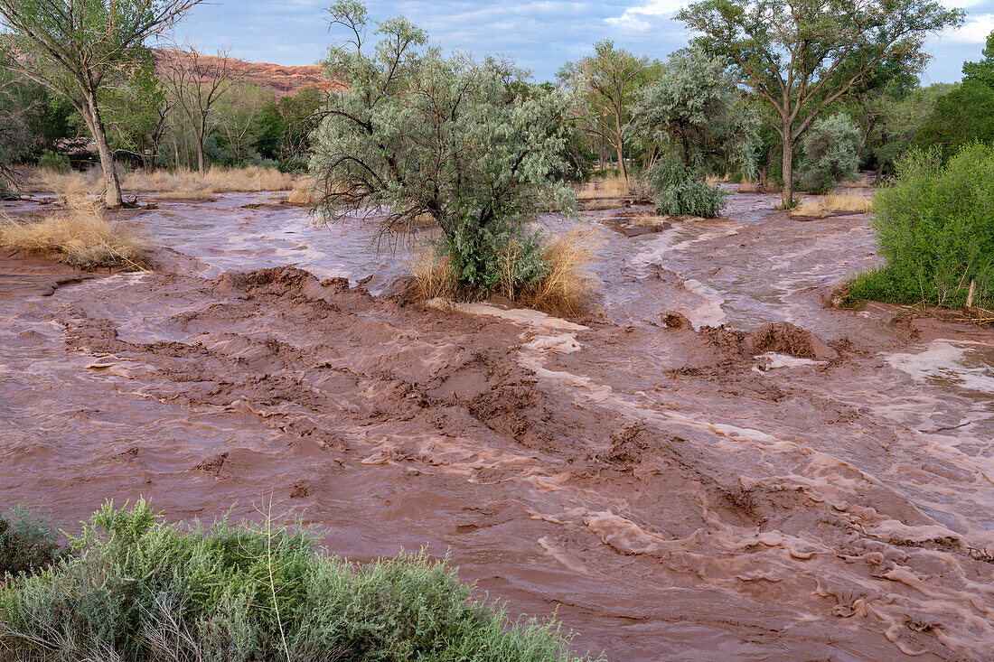 Flash flooding with waves of muddy water after a summer rain storm in Moab, Utah.