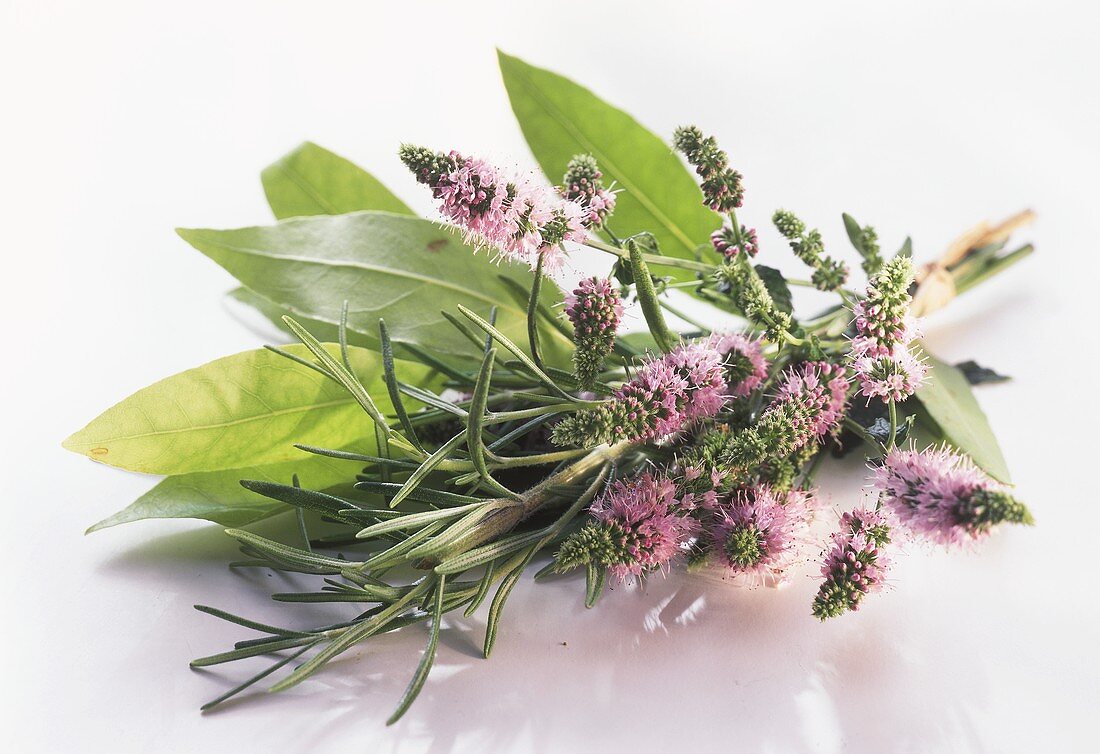 Herb posy (with mint flowers, rosemary, bay)